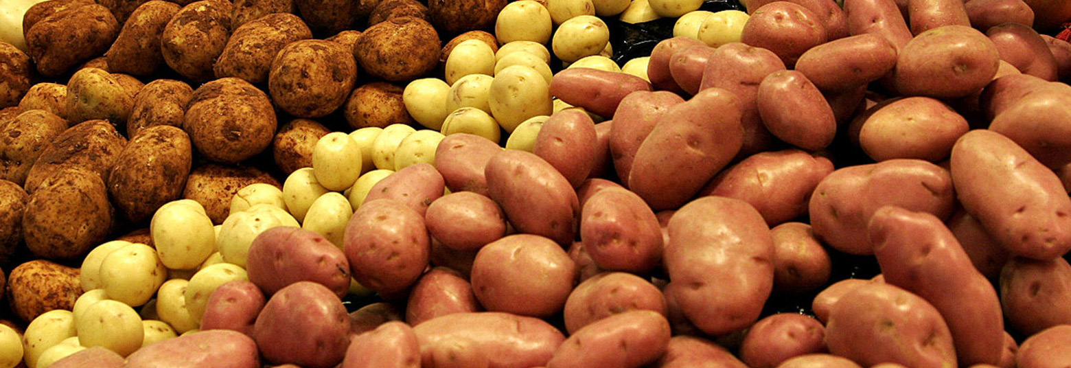 potatoes-1500